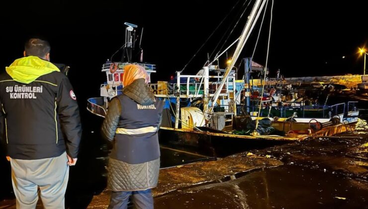 Akçakoca Limanı’nda Hamsi Avı Yoğunluğu Sürüyor