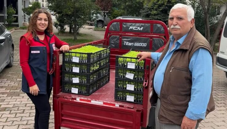 Gölyaka’da TAKEP Projesi Kapsamında Üreticilere Marul Fidesi Desteği