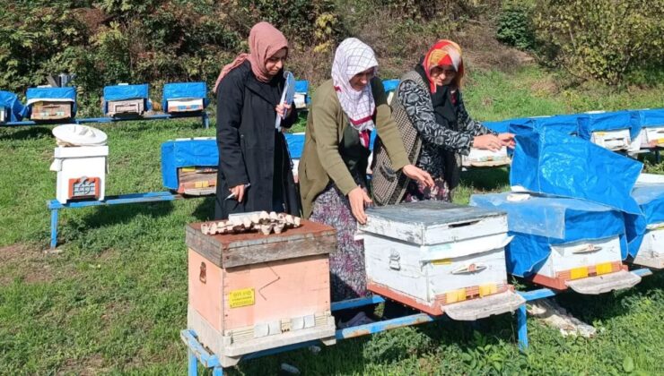 Çukurören Köyünde 2025 Arılı Kovan Sayımı Yapıldı