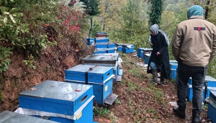 Yığılca’da 2025 Arılı Kovan Sayımı Tamamlandı