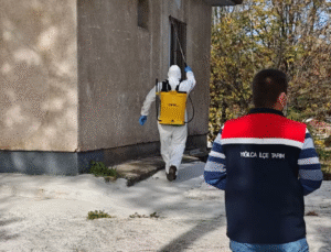 Yığılca’da Kahverengi Kokarca Mücadelesi Sürüyor