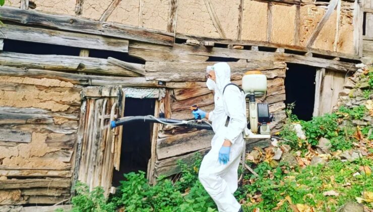 Yığılca’da Kahverengi Kokarca ile Mücadele Çalışması Yapıldı