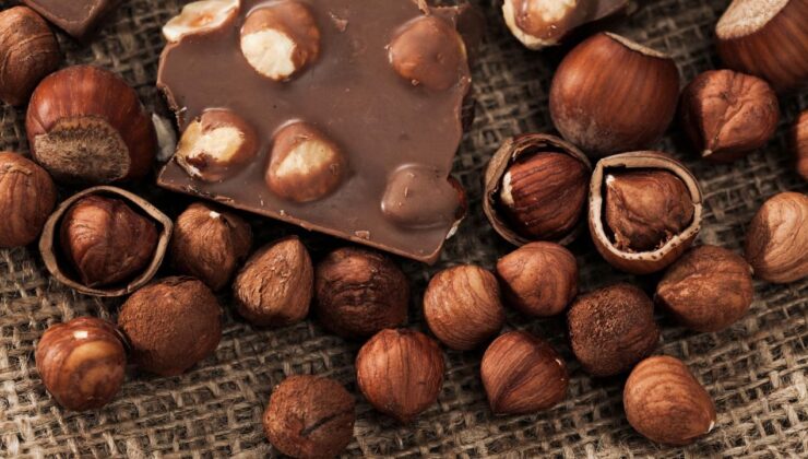 Düzce’de Fındık Fiyatları 1 Aralık’ta 300–313 TL Bandında Seyrediyor