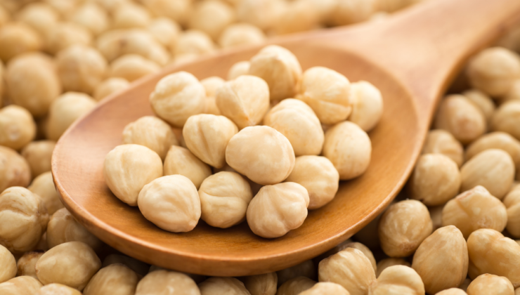 Düzce’de Fındık Fiyatları Yeniden Yükselişe Geçti: 8 Aralık 2025 Güncel Tablo