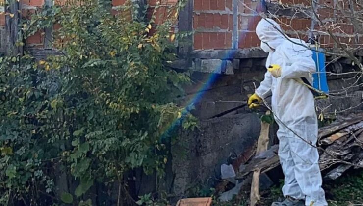 Mengen Köyü’nde Kahverengi Kokarca ile Kışlak Mücadelesi Yapıldı