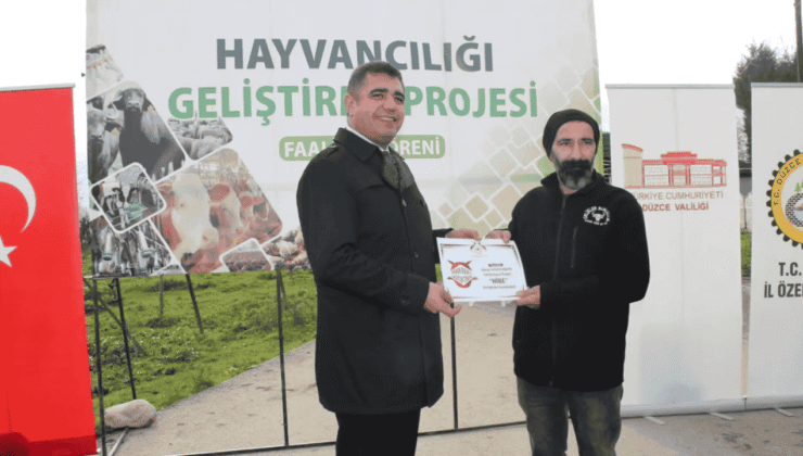 Düzce’de Manda Yetiştiriciliğine Güçlü Destek: 17 Damızlık Boğa Üreticilere Teslim Edildi