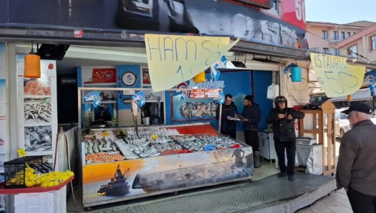 Düzce’de Av Yasağı Öncesi Balık Satış Yerleri ve İçsular Denetlendi