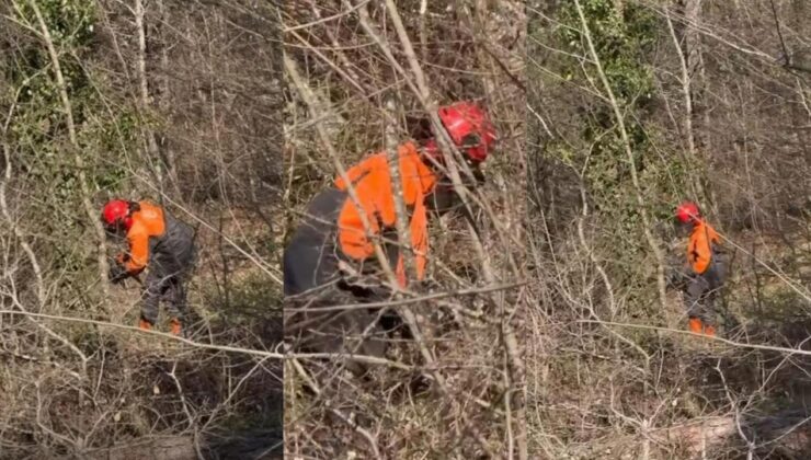 Ormanda Ekmek Mücadelesi: Ayşegül Köse’nin Hikayesi Yürek Burktu