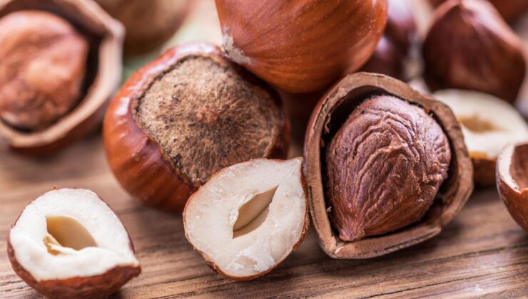 Düzce’de Fındık Fiyatları Yükselişte mi? 13 Nisan Verileri Açıklandı